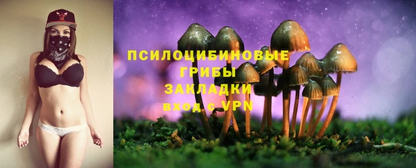 соль курить ск Алзамай