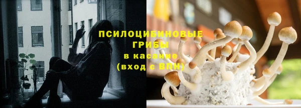 соль курить ск Алзамай
