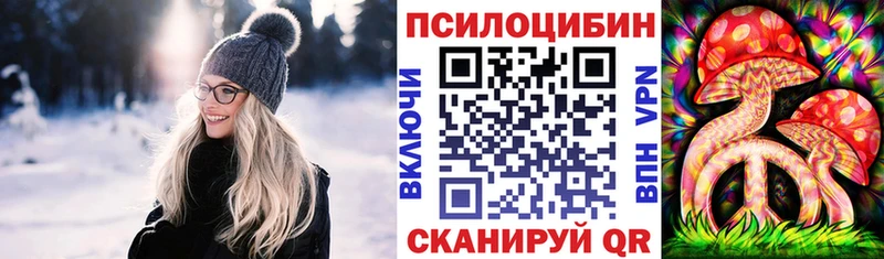 закладки Кирс Псилоцибиновые грибы Magic Shrooms