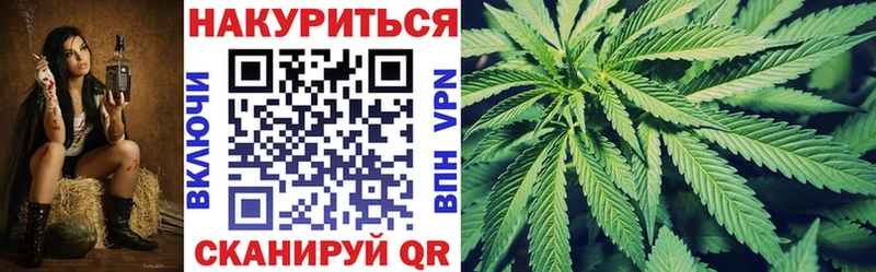 Канабис планчик Кирс
