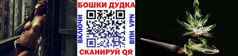 Каннабис сатива  Кирс 